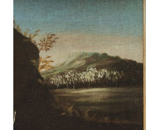 Italian School (XVII century) - Still Life - oil on canvas