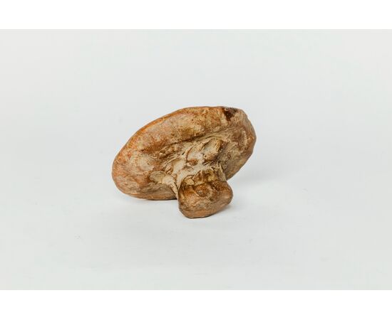 Sigillo in terracotta - XVII secolo