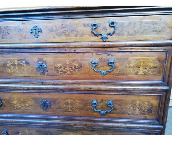 CANTERANO EMILIANO 600