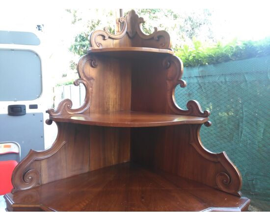 ANGOLIERA IN NOCE MOSSA.