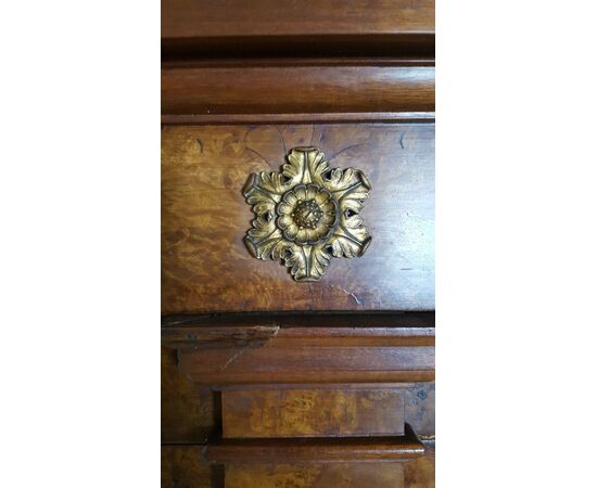 LIBRERIA IN RADICA DI NOCE