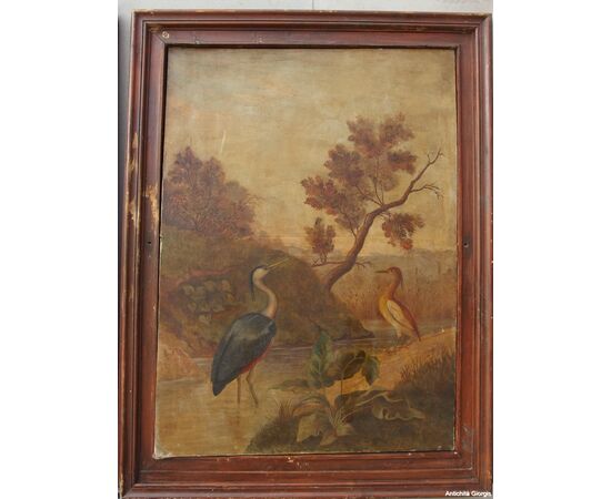 COPIA DI QUADRI SU OLIO SU TELA RAFFIGURANTI UCCELLI EPOCA FINE 800