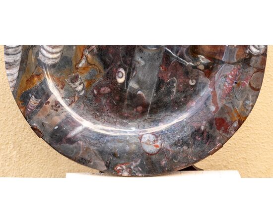 Antico piatto con ammoniti - probabile XVII secolo