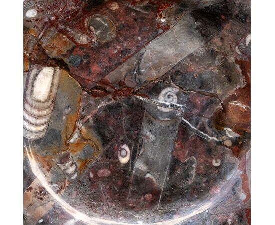 Antico piatto con ammoniti - probabile XVII secolo