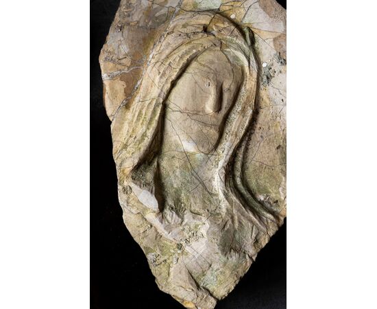 Bassorilievo con volto in pietra - Frammento con segni di usura - XVII secolo