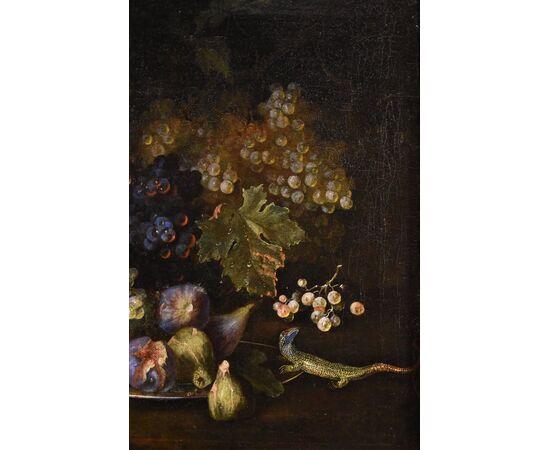 Natura morta di frutta con lucertola, Franz Werner Von Tamm (Amburgo 1658-Vienna 1754)