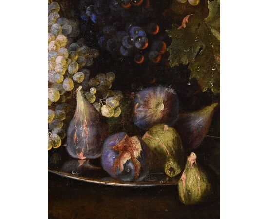 Natura morta di frutta con lucertola, Franz Werner Von Tamm (Amburgo 1658-Vienna 1754)