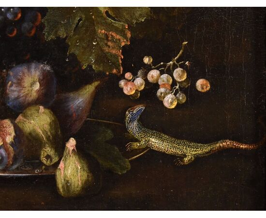 Natura morta di frutta con lucertola, Franz Werner Von Tamm (Amburgo 1658-Vienna 1754)