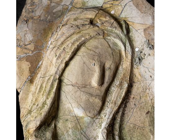 Stone face bas-relief - Fragment with signs of wear - 17th century