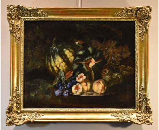 Still life of fruit with green woodpecker, attributed to Franz Werner Von Tamm (Hamburg 1658-Vienna 1754)