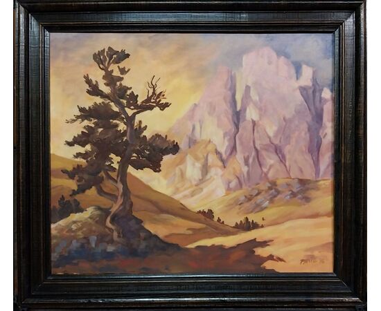 Grande e piccola fermeda , gruppo delle Odle  dolomiti