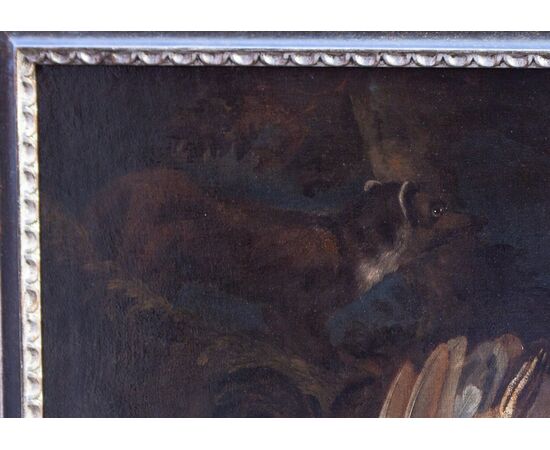 Natura morta Johannes Hermans (Anversa, 1630 - 1677) detto Monsù Aurora - Fiammingo XVII secolo - Olio su tela