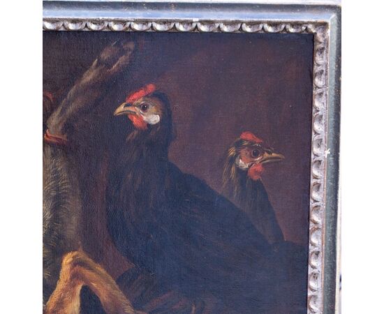 Natura morta Johannes Hermans (Anversa, 1630 - 1677) detto Monsù Aurora - Fiammingo XVII secolo - Olio su tela