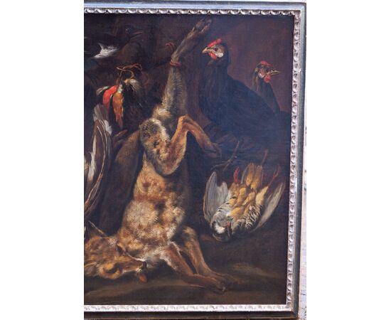 Natura morta Johannes Hermans (Anversa, 1630 - 1677) detto Monsù Aurora - Fiammingo XVII secolo - Olio su tela