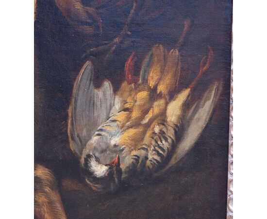 Natura morta Johannes Hermans (Anversa, 1630 - 1677) detto Monsù Aurora - Fiammingo XVII secolo - Olio su tela