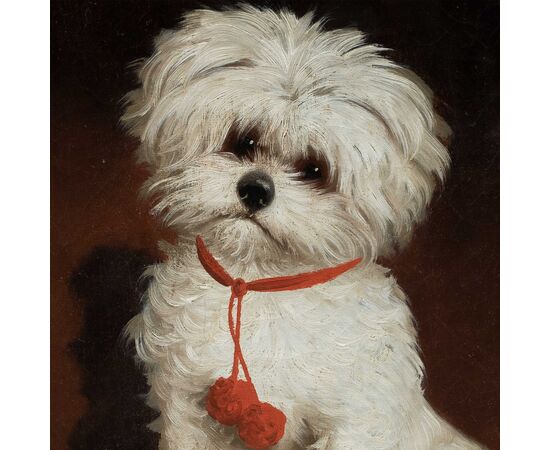 Italian painter (19th century) - Portrait of a Maltese dog.
