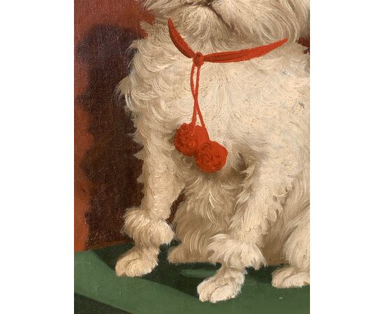 Italian painter (19th century) - Portrait of a Maltese dog.