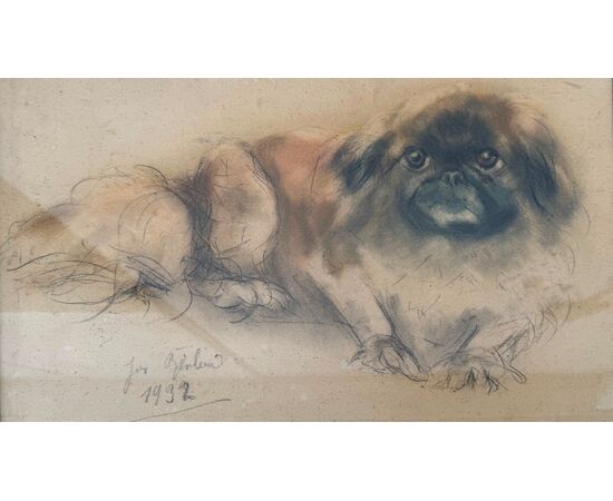 Charcoal and pastel drawing of a Pekingese dog.