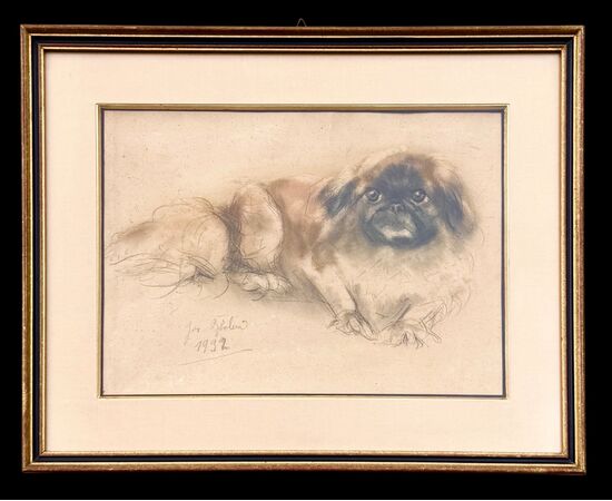Charcoal and pastel drawing of a Pekingese dog.