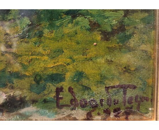 Edoardo Togni, Paesaggio Montano