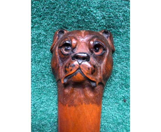 Tagliacarte in legno di bosso in pezzo unico raffigurante testa di cane molosso.
