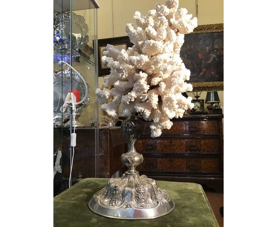 Corallo bianco su base bellissima argento del 1700 h 45 cm