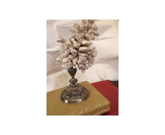 Corallo bianco su base bellissima argento del 1700 h 45 cm