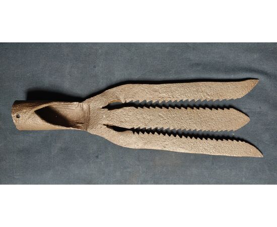 Föene arpione utilizzato in Francia per la pesca di anguille