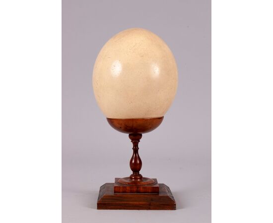 Uovo di struzzo su base di legno di ulivo