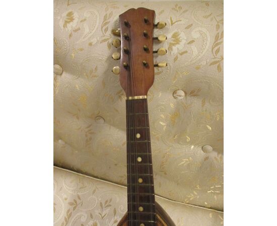 Ancient Neapolitan maple and rosewood mandolin - late 800 - signed Bocciarelli     