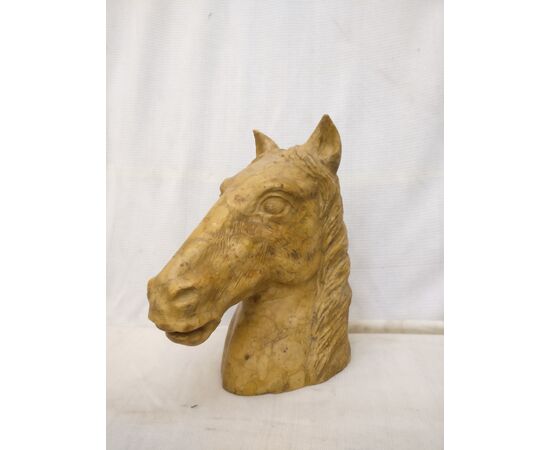 Strepitosa Scultura - Testa di Cavallo - H 33 cm - Marmo Giallo Reale - XX secolo - Venezia