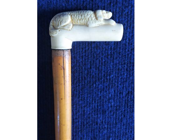 Bastone da passeggio in legno e manico "cane" in osso - anni '10