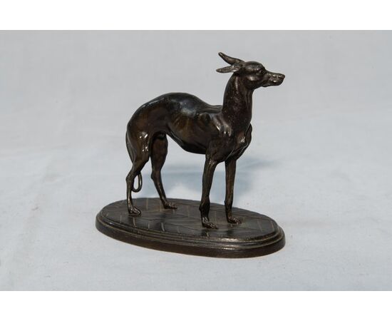 Small bronze greyhound sculpture - O / 2637 -     