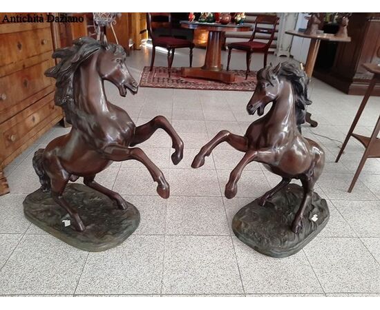 Pair of horses     