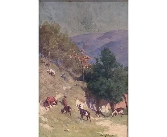 Landscape with goats     
