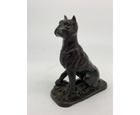 Interesting Patinated Bronze Mastiff Sculpture - France, Early 20th Century     