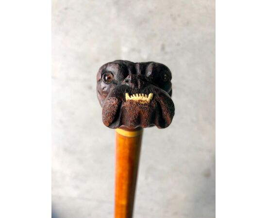 Stick with knob representing a bulldog head with ivory teeth.     