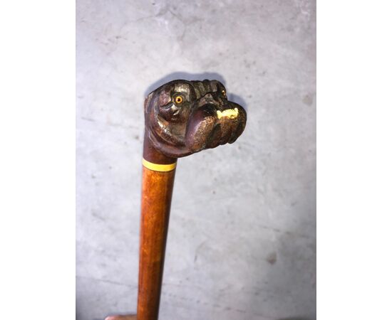 Stick with knob representing a bulldog head with ivory teeth.     
