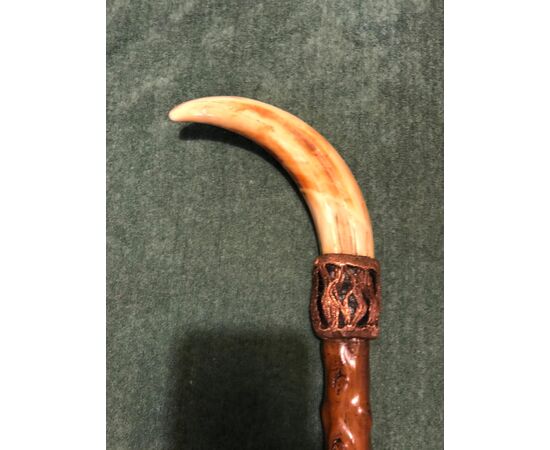 Stick with warthog tooth handle, cane in rosewood.     