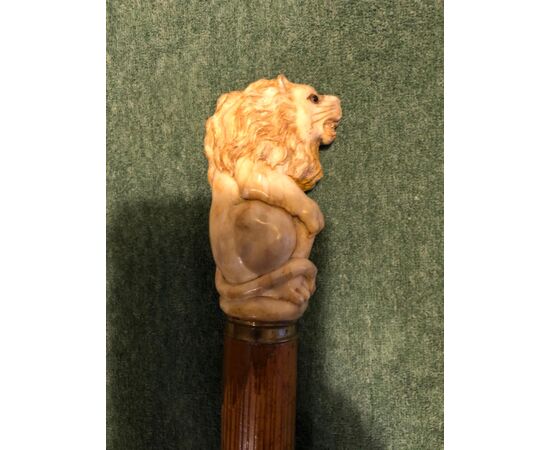 Bastone con pomolo in osso di cervo raffigurante un leone.Canna in bambu’.