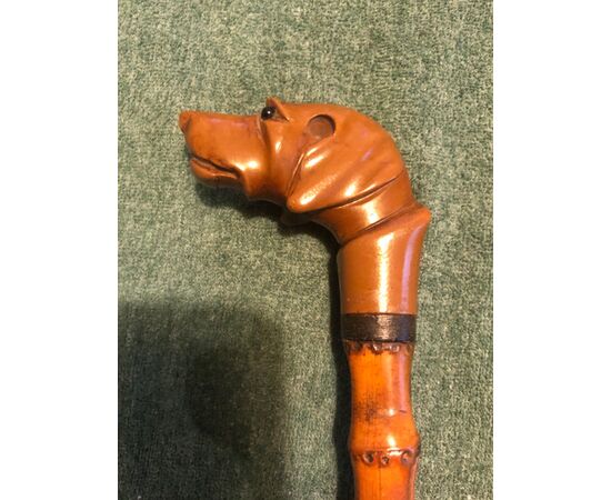 Stick with knob in Bakelite depicting a dog&#39;s head. Bamboo cane.     