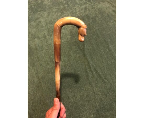 Stick with blond horn handle depicting a dog&#39;s head. Walnut barrel.     