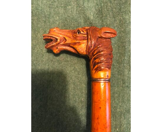 Bastone pipa con pomolo in legno a forma di testa di cavallo e canna in malacca.