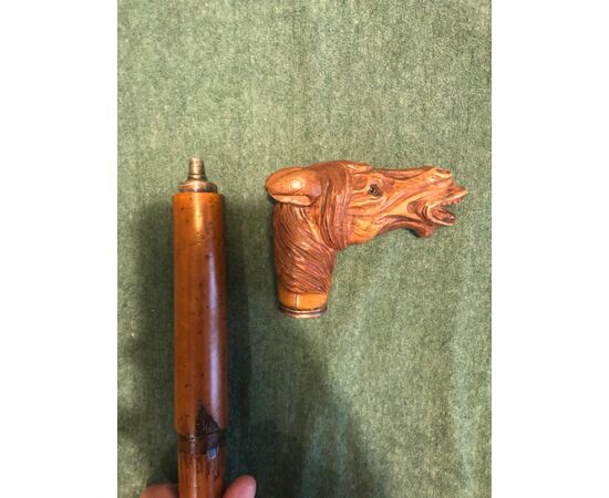 Bastone pipa con pomolo in legno a forma di testa di cavallo e canna in malacca.
