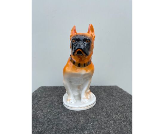 Porcelain boxer dog figure Germany.     