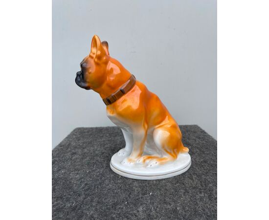 Porcelain boxer dog figure Germany.     