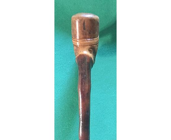 One-piece boxwood walking stick with dog head with hat.     