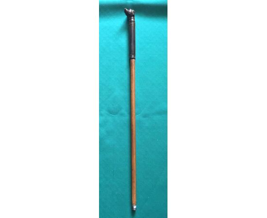 Walking stick with horn pommel depicting a dog&#39;s head. Rattan cane.     