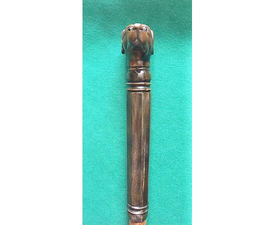 Walking stick with horn pommel depicting a dog&#39;s head. Rattan cane.     
