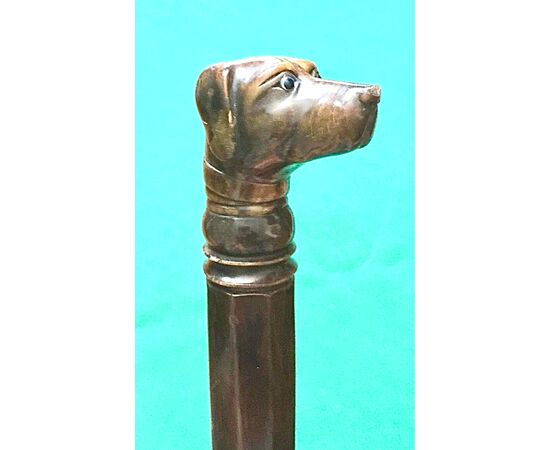 Walking stick with horn pommel depicting a dog&#39;s head. Rattan cane.     